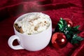 Christmas cocoa Royalty Free Stock Photo