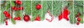 Christmas collage background. Composition set with green Xmas fir branch, red holly berries and baubles on white background Royalty Free Stock Photo