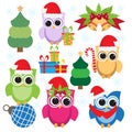 Christmas collection of colorful owls and elements