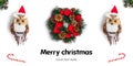 Christmas collection. Long header banner format. Panorama website header banner.