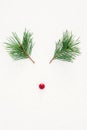 Christmas composition, abstract deer. Two pine green branches with one red berrie on white background. Christmas background, top
