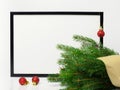 Christmas composition. Black frame and branches christmas tree,