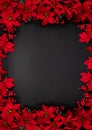 Christmas composition. A border frame made of Poinsettia flowers isolated on a black chalkboard background Royalty Free Stock Photo