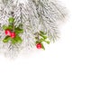 Christmas composition border with green frozen fir branch and holly red berries and leaves isolated on white background Royalty Free Stock Photo