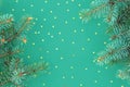 Christmas composition with borders of fir branches and golden stars sparse on mint background Royalty Free Stock Photo