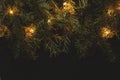 Christmas composition, branches of a Christmas tree on a dark background with lights Royalty Free Stock Photo