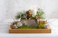 Christmas composition of candle,deer, pine cones, fir branches, flowers, moss, winter berries in wooden box. Cozy home winter Royalty Free Stock Photo