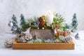 Christmas composition of candles, deer, pine cones, christmas baubles, fir branches, flowers, moss, winter berries in wooden box. Royalty Free Stock Photo