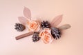 Christmas composition cinnamon sticks, roses and cone top view on pink background. flat lay