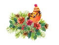 Christmas composition - finch bird, winter flowers, spruce tree, mistletoe. Watercolor Royalty Free Stock Photo