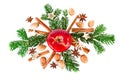 Christmas composition with fir branch and spices with red apple isolated on white Royalty Free Stock Photo