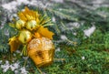Christmas composition with a fir branch and a Christmas tree toy. Royalty Free Stock Photo