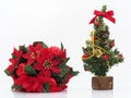 Christmas composition,flowers and a small christmas tree