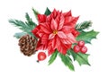 Christmas composition, flowers, spruce branches, holly, cone on white isolated background, watercolor drawings.