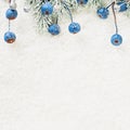 Christmas composition with green Xmas tree twig, blue berries and white snow Royalty Free Stock Photo