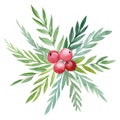 Christmas composition from leaves, red berries on an isolated white background, watercolor drawing Royalty Free Stock Photo