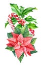 Christmas composition, lollipop, poinsettia flowers, holly branches, watercolor painting, decorative elements. Royalty Free Stock Photo