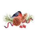 Christmas composition with red bullfinch bird perched on pine tree with ribbons, pine cones and rowan berries. Hand drawn Royalty Free Stock Photo