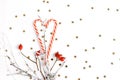 Christmas composition. Red rosehip berries on a white background and golden stars. Christmas, new year, winter concept Royalty Free Stock Photo
