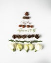 Christmas composition in shape of Christmas tree with branches of thuja, flowers, nuts and cones on white background. Flat lay Royalty Free Stock Photo