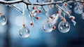 Christmas composition. Stylish translucent Christmas tree decorations balls hanging on a branch on a blue background. Royalty Free Stock Photo