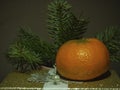 Christmas composition. Tangerine on a gift box in the background coniferous branches. New Year greeting card Royalty Free Stock Photo