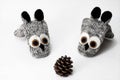 Christmas composition. Woolen knitted mittens in dogs with pine cone. isolated white.