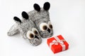 Christmas composition. Woolen knitted mittens in dogs with red gift box white ribbon. isolated white. Royalty Free Stock Photo