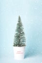 Christmas concept background.Christmas tree inside a plantpot with snowflakes Royalty Free Stock Photo