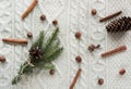 Christmas concept. Christmas bouquet with spruce, fir-tree, snowflakes, on white knitted background. Holiday card. Vintage style. Royalty Free Stock Photo