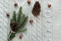 Christmas concept. Christmas bouquet with spruce, fir-tree, snowflakes on white knitted background. Holiday card. Vintage style. F Royalty Free Stock Photo