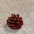 Christmas concept with decorations and ornaments. Glittery pine cone, close up