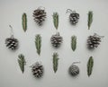 Christmas concept, Christmas tree twigs and Christmas tree cones on a white background flat lay