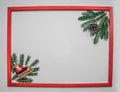 Christmas concept, Christmas tree twigs Christmas tree cones on a white background, frame, place for text