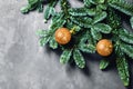 Christmas concrete background with fir tree and golden balls. Royalty Free Stock Photo