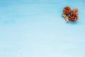 Christmas cones nuts on Blue Christmas background Christmas