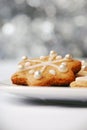 Christmas cookie Royalty Free Stock Photo