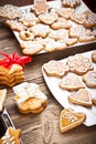 Christmas cookie Royalty Free Stock Photo