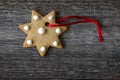 Christmas cookie Royalty Free Stock Photo