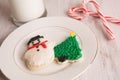 Christmas cookies and candy canes Royalty Free Stock Photo