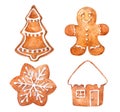 Christmas cookies gingerbread set.