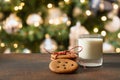 Christmas cookies and milk for Santa near Xmas tree