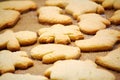 Christmas cookies with sugar on the cooking paper Royalty Free Stock Photo