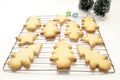 Christmas Cookies on a Wrack