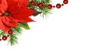 Christmas corner arrangement with pine twigs and poinsettia flowers isolated on white Royalty Free Stock Photo