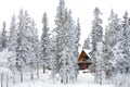 Christmas cottage in winter wonderland