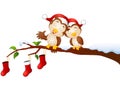 Christmas couple owls on the tree branch with christmas socks Royalty Free Stock Photo