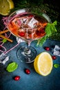 Christmas cranberry cocktail Royalty Free Stock Photo