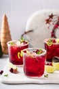 Christmas cranberry and lime margarita cocktail garnished with lime zest Royalty Free Stock Photo