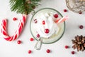 Christmas cranberry smoothie and yogurt with whipped cream